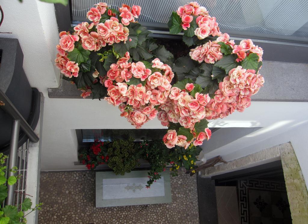 Brancadoria B&B Monteleone Rocca Doria Ngoại thất bức ảnh