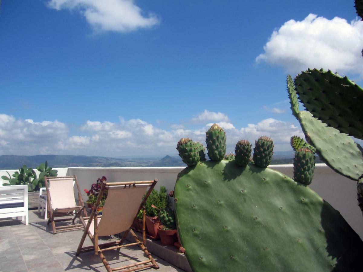 Brancadoria B&B Monteleone Rocca Doria Ngoại thất bức ảnh